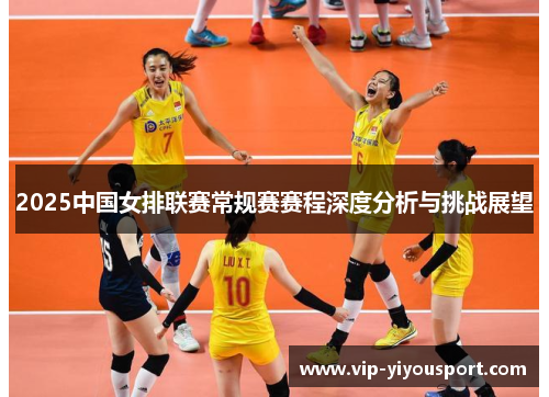 2025中国女排联赛常规赛赛程深度分析与挑战展望